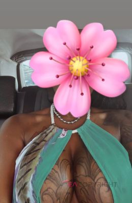 Caribbean Beauty  Fort Lauderdale, Florida Escort, Pornstar, BDSM, Massage, Verified Adult Service Provider, Companion in United States | 4