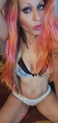 Vyla Las Vegas, Nevada Escort, Pornstar, Verified Adult Service Provider, Companion in United States | 5