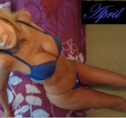 aprilofdallas Dallas, Texas Escort, , Verified Adult Service Provider, Companion in United States | 4