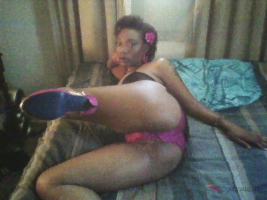 MissDaria St. Louis, Missouri Escort, , Verified Adult Service Provider, Companion in United States | 1