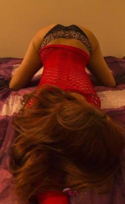PrincessParis Ottawa Escort, , Verified Adult Service Provider, Companion in Canada | 1