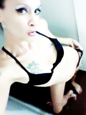 LoganSkyy Youngstown, Ohio Escort, Pornstar, Verified Adult Service Provider, Companion in United States | 3