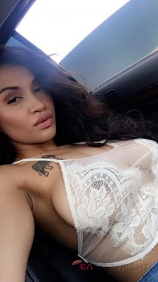 SydneeTaylor Los Angeles, California Escort, Pornstar, Verified Adult Service Provider, Companion in United States | 3