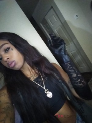 Sasha Mink Washington DC Escort, , Verified Adult Service Provider, Companion in United States | 3