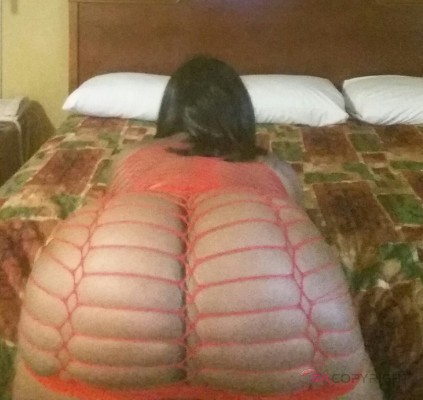 Honeyx Charlotte, North Carolina Escort, , Verified Adult Service Provider, Companion in United States | 2