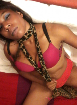 TashaX Oklahoma City, Oklahoma Escort, , Verified Adult Service Provider, Companion in United States | 1