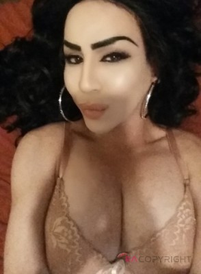 Tslita Lubbock, Texas Escort, Pornstar, BDSM, DUO, Massage, Verified Adult Service Provider, Companion in United States | 1