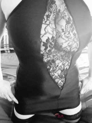 TiffanyElite Kitchener Escort, Pornstar, Verified Adult Service Provider, Companion in Canada
