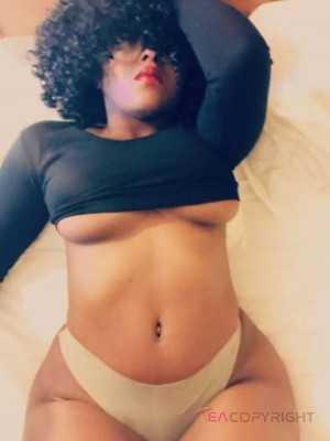 Robynn Fort Lauderdale, Florida Escort, , Verified Adult Service Provider, Companion in United States