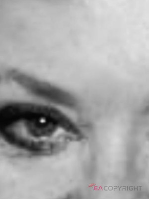 Mistress Cougar St. Louis, Missouri Escort, , Verified Adult Service Provider, Companion in United States