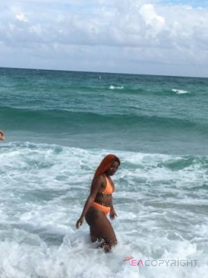 Mocha407 Orlando, Florida Escort, , Verified Adult Service Provider, Companion in United States