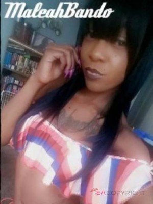 MaleahBando Denver, Colorado Escort, , Verified Adult Service Provider, Companion in United States