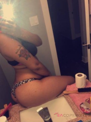 Lisaa32 Chicago, Illinois Escort, , Verified Adult Service Provider, Companion in United States