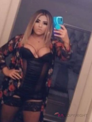 Vanesa22 Houston, Texas Escort, , Verified Adult Service Provider, Companion in United States
