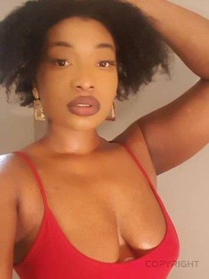 AmyKnightington Toledo, Ohio Escort, , Verified Adult Service Provider, Companion in United States