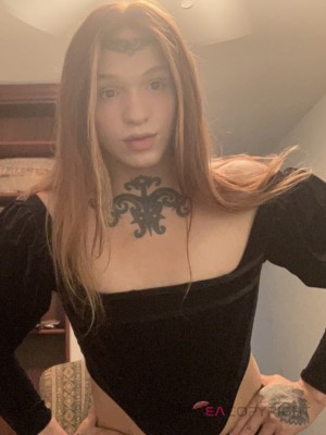 TS Priscilla New Orleans, Louisiana Escort, Massage, Verified Adult Service Provider, Companion in United States