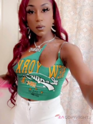 Sandy 47 Miami Beach, Florida Escort, Pornstar, BDSM, DUO, Couple, Massage, Verified Adult Service Provider, Companion in United States