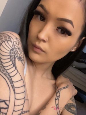 kateX Toronto Escort, , Verified Adult Service Provider, Companion in Canada