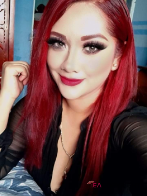 sofia1 New York Escort, , Verified Adult Service Provider, Companion in United States