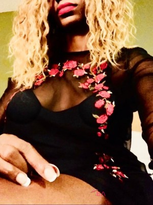 Violet Norie Monterey, California Escort, , Verified Adult Service Provider, Companion in United States