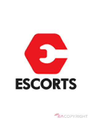 Escort-ads.com | Profile picture for agency Erotic_Finds