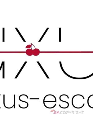 Escort-ads.com | Profile picture for agency Luxus Escort - Cherry Lifestyle UG