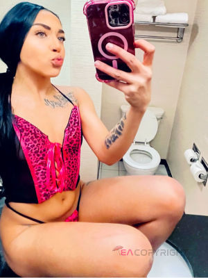 naughtynova Colorado Springs, Colorado Escort, Verified Escorts Services naughtynova Colorado Springs, Colorado Escort, , Verified Adult Service Provider, Companion in United States