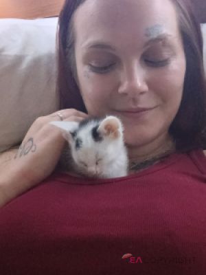LusciousLiz97 Little Rock, Arkansas Escort, , Verified Adult Service Provider, Companion in United States