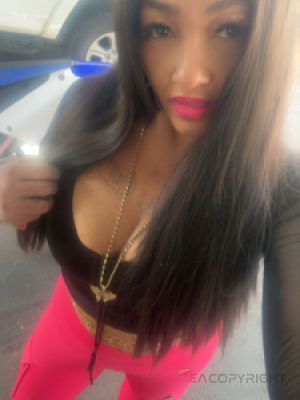 Miss pretty pussy Las Vegas, Nevada Escort, Pornstar, Verified Adult Service Provider, Companion in United States
