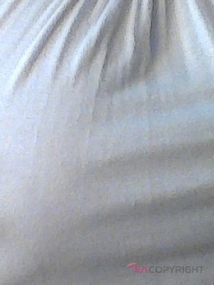 TaylorSims Dallas, Texas Escort, , Verified Adult Service Provider, Companion in United States