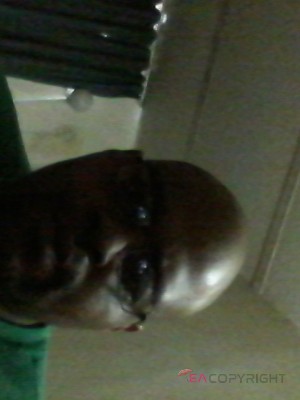 lamar Spartanburg, South Carolina Escort, Pornstar, Verified Adult Service Provider, Companion in United States