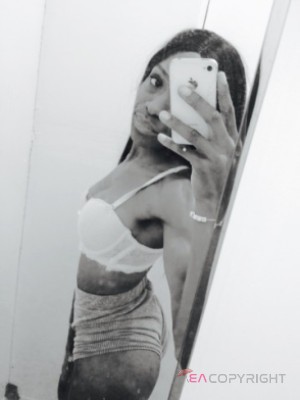 NiceGFE New York Escort, , Verified Adult Service Provider, Companion in United States