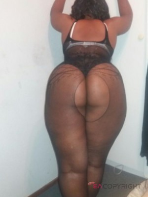 T Sibe Johannesburg Escort, , Verified Adult Service Provider, Companion in South Africa