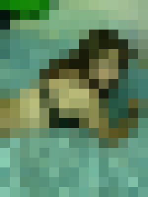 Background image - blurred