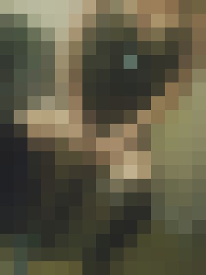 Background image - blurred