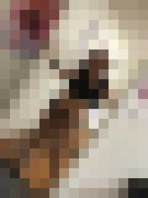 Background image - blurred
