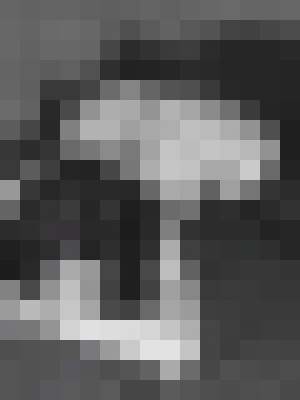 Background image - blurred