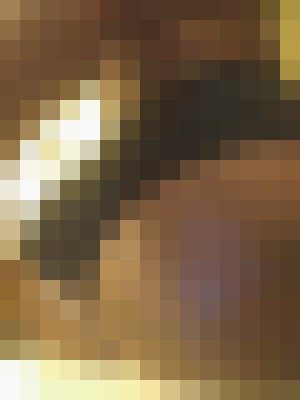 Background image - blurred