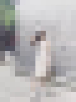 Background image - blurred
