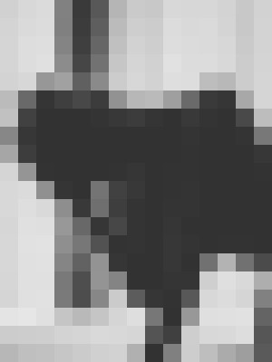 Background image - blurred