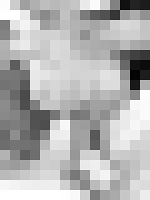 Background image - blurred