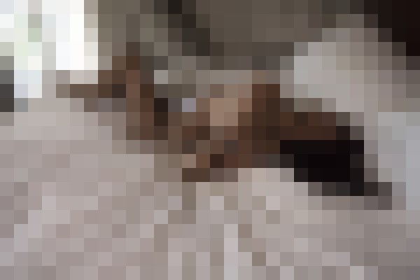 Gabrielle Lebeau Atlanta, Georgia Escort, , Verified Adult Service Provider, Companion in United States | 2