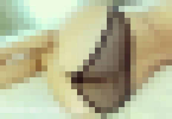 Background image - blurred