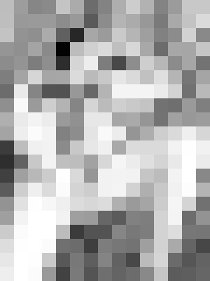 Background image - blurred