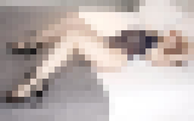 Lily Olsen Toronto Escort, , Verified Adult Service Provider, Companion in Canada | 2