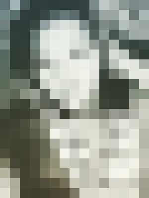 Background image - blurred