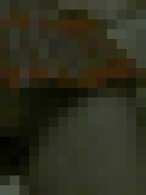 Background image - blurred