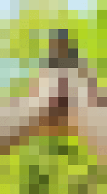 Background image - blurred