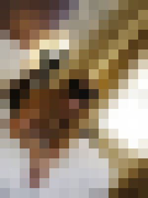 Background image - blurred