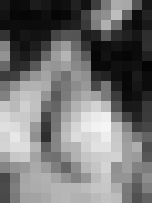 Background image - blurred